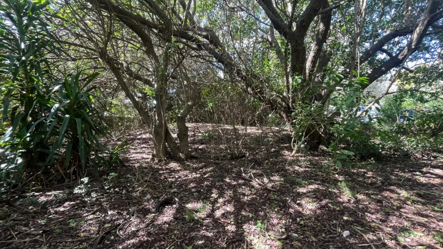 Commercial Property for Sale in Paradise Beach Eastern Cape
